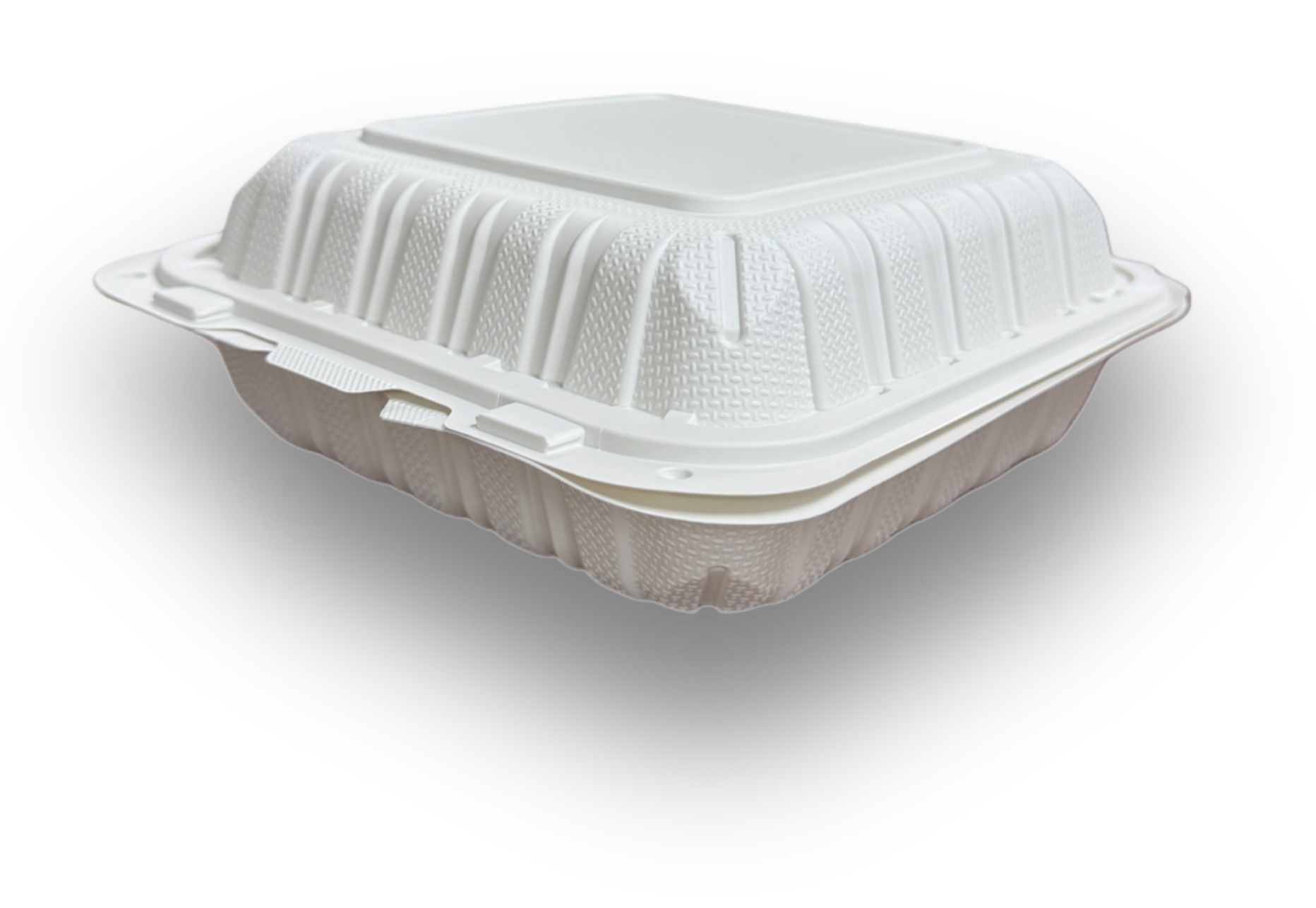 White hinged container